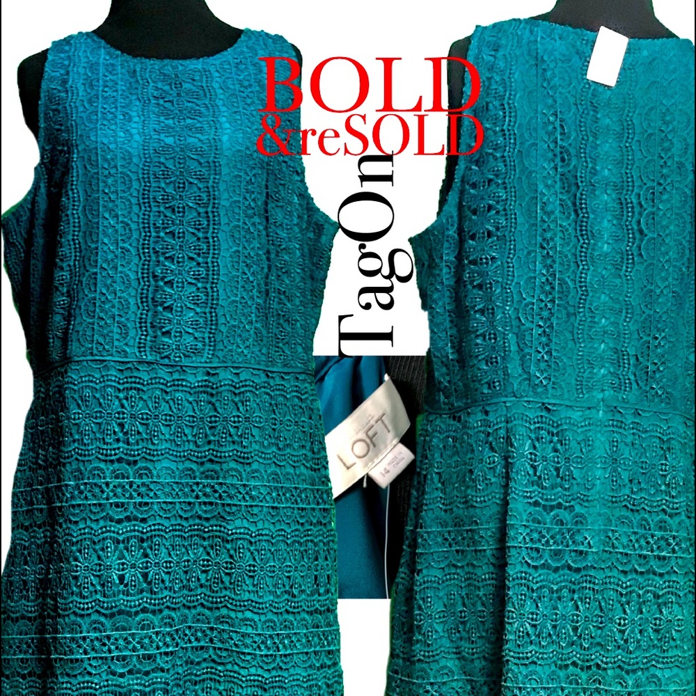 LOFT Aqua Laced Dress